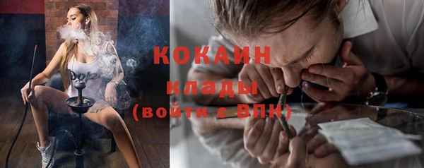 прущие грибы Алексин