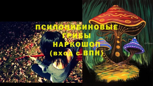 прущие грибы Алексин