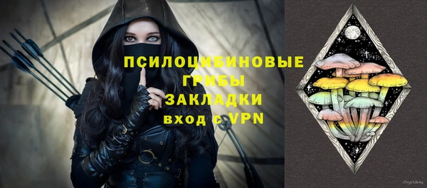 стафф Няндома