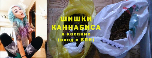 стафф Няндома