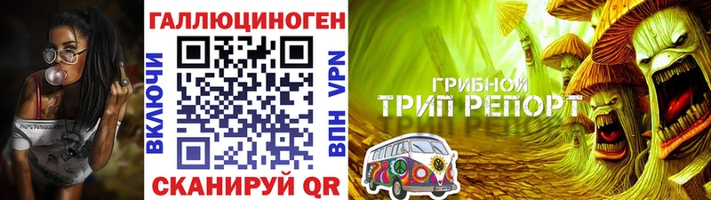 купить Лесной Галлюциногенные грибы мицелий