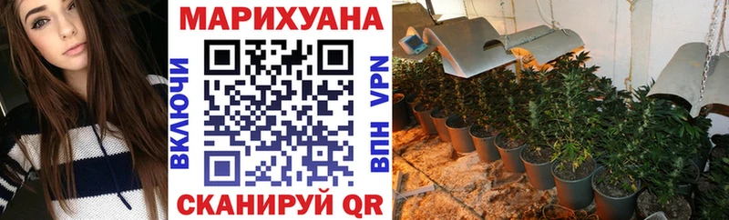 Бошки марихуана план  Лесной 
